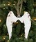 Distressed Metal Angel Wings Ornament – Rustic Farmhouse Christmas & Memorial Décor-M10823